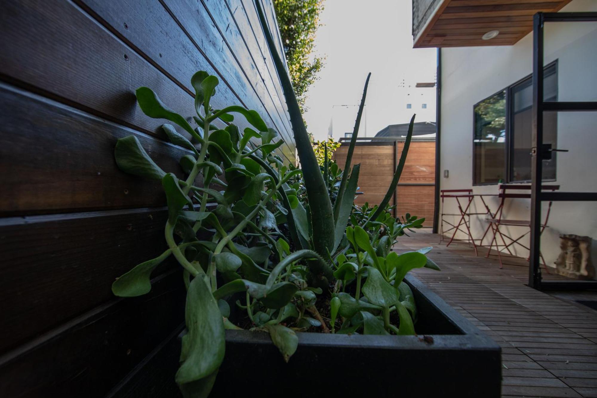 Venice Beach Studio With Large Private Patio Steps To The Beach Los Angeles Exterior photo